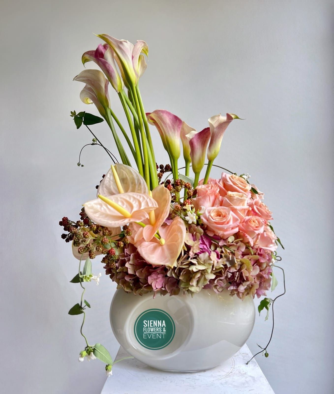 Softing Ping Arrangement