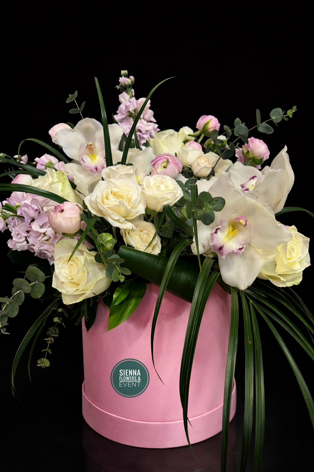 Arracatea De Sibidium 