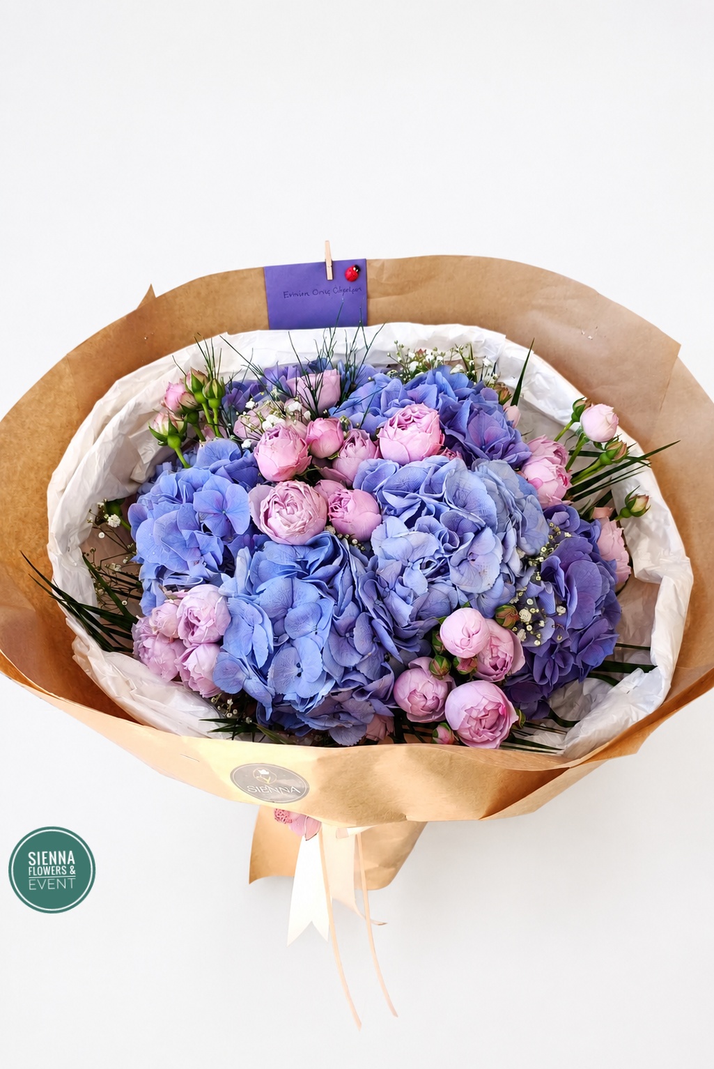 Blue Hydrangea Bellezza