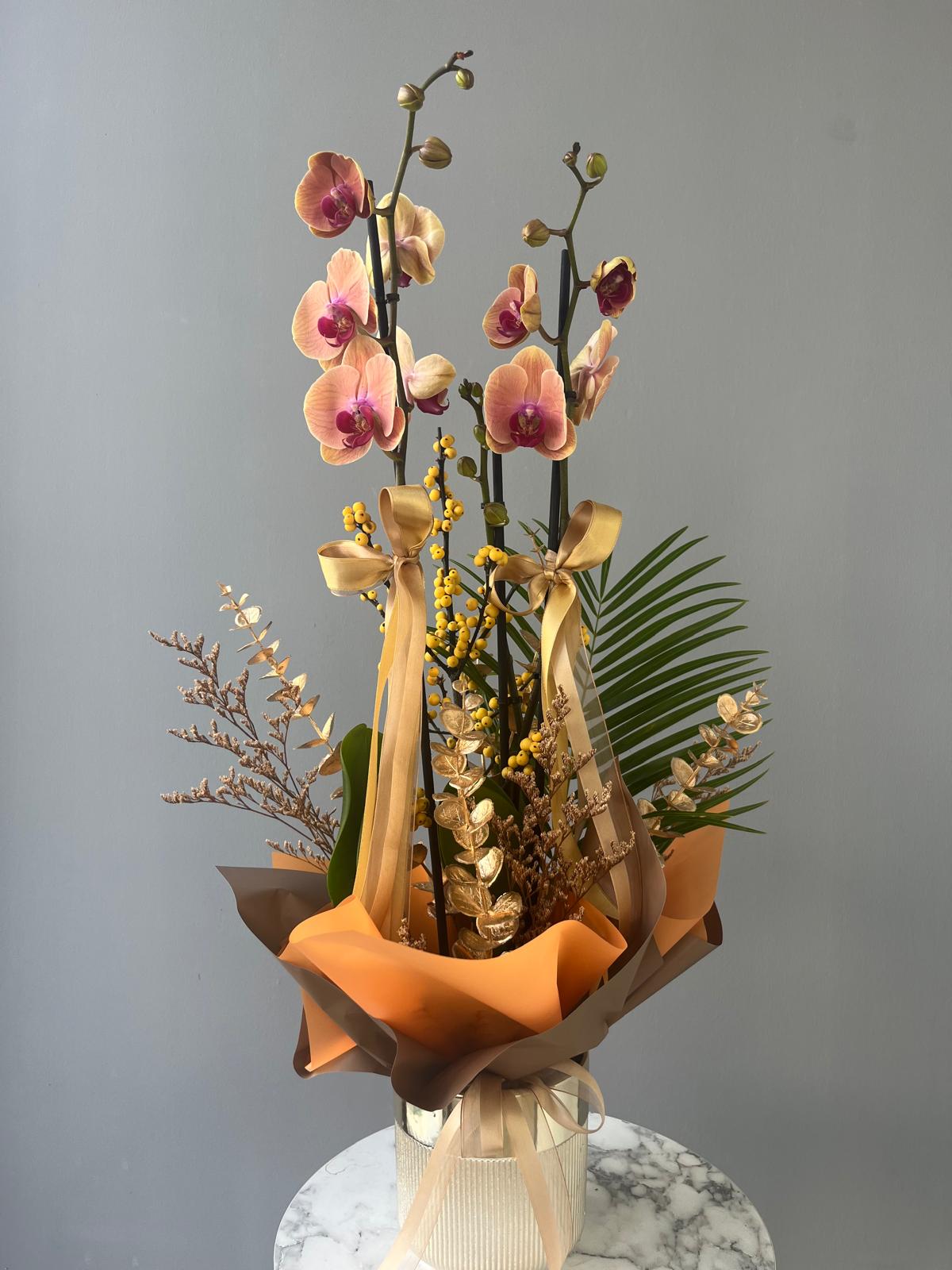 Golden Serenity Orchid