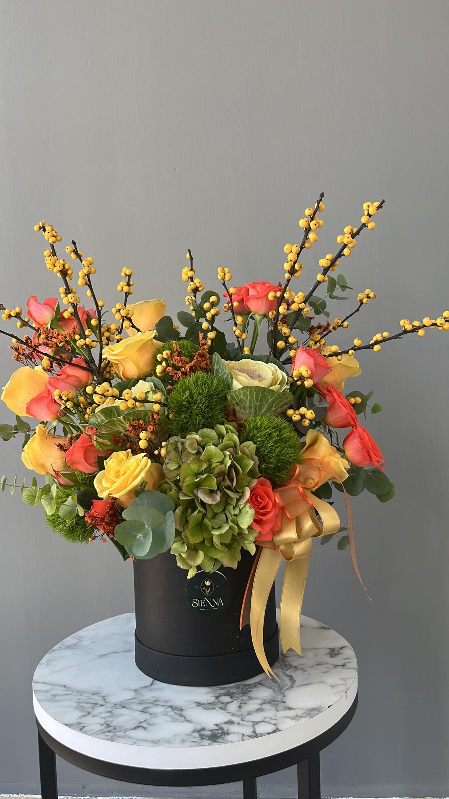 Warm Glown Collection